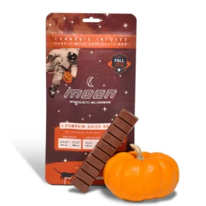 Pumkin Spice Orbit